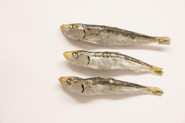 イワシ　三匹