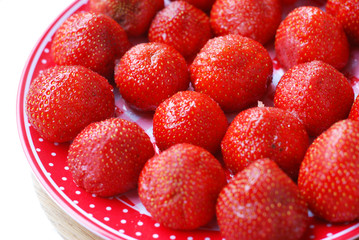 gezuckerte Erdbeeren