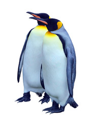 Two isolated emperor penguins with clipping path - 33206738