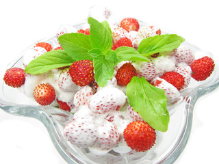 wild strawberry dessert with pudding and mint