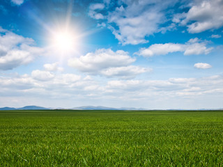 green field background