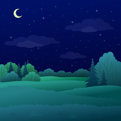 Landscape, night summer forest
