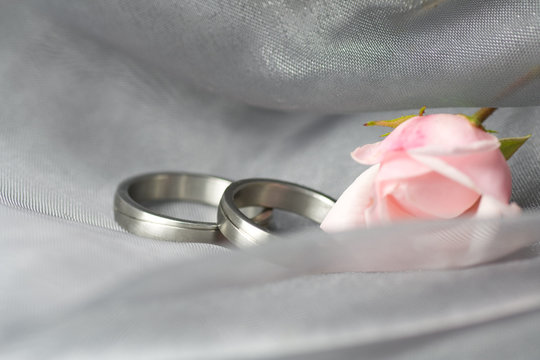 Wedding rings and rose