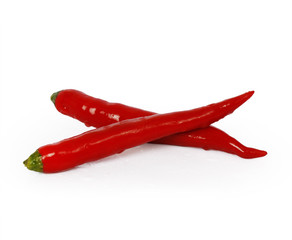 Pepper on white background