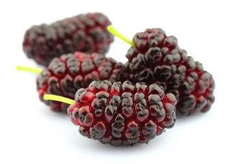 Fresh mulberry
