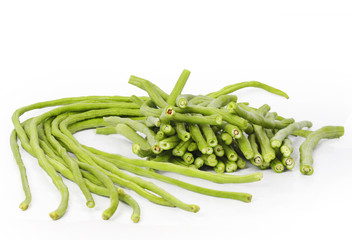 Bean on white background