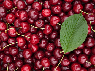 sweet red cherry background