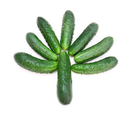 Cucumbers in the form of a green tree