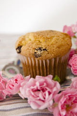 Muffin und Rosen