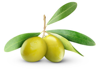 Isolated olives. Two green olive fruits with leaves isolated on white background