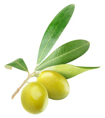 Isolated olives. Two green olives on with leaves isolated on white background