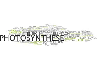 Photosynthese