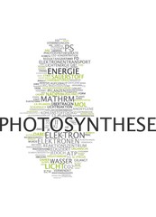 Photosynthese