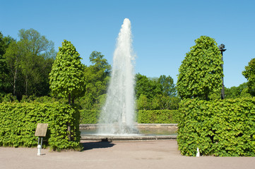 Fountain in Peterhof