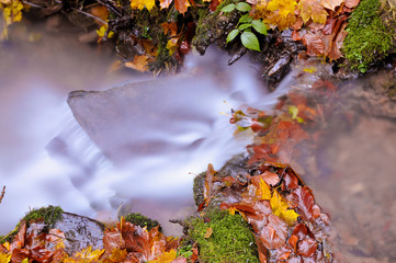 Wildbach im Herbst