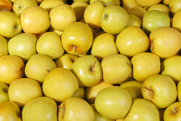 background of golden delicious apples