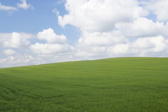 Windows XP Startbild