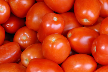 Backgroung of tomatoes