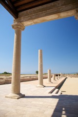 Fototapeta premium great column at portico