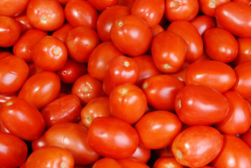 Backgroung of roma tomatoes