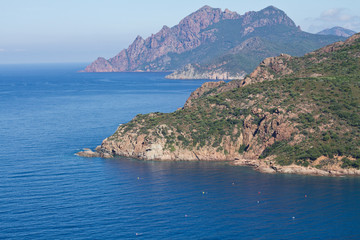 coye et littoral de corse (region de porto scandola)