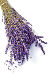 bunch of lavender isolated