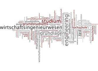 Wirtschaftsingenieurswesen