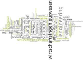 Wirtschaftsingenieurswesen