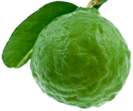 citrus hystrix, combava