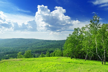 Fototapeta premium summer landscape