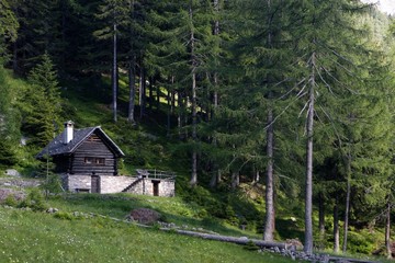 Fototapeta na wymiar Alpine Chalet - Szwajcaria