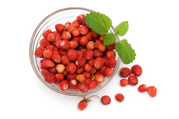 Wild strawberries