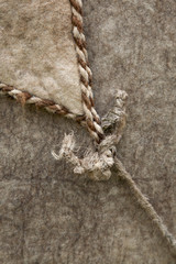 nomad yurt detail - thick felt background and rope
