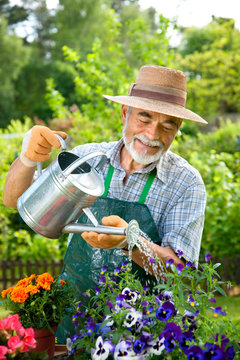 Senior Mann gie&szlig;t Blumen