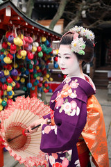 Beautiful geisha