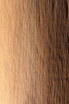 holzfaser