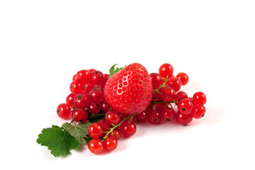 Ribes e fragola