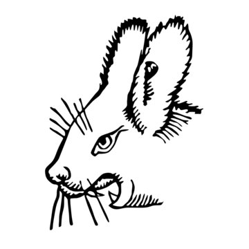 rodent head vector illustration