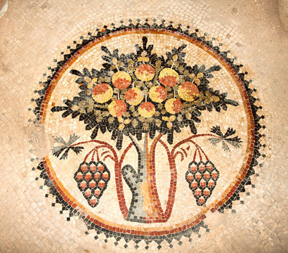 Floor mosaics in Madaba, Jordan