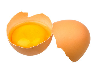 broken egg