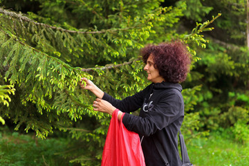 Woman picking fir buds
