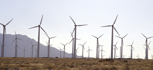 Wind Turbine for alternative energy