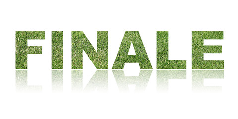 Gras Text Konzept - Fussball Finale