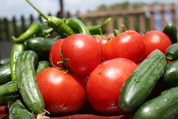 ripe vegetables at the market