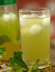 Thé verde