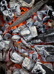Background from the smoldering charcoal