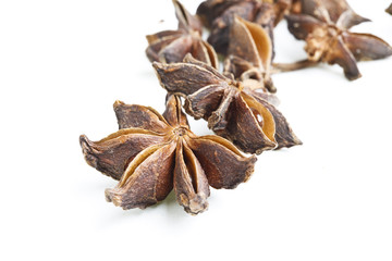Bunch of anise stars on white background