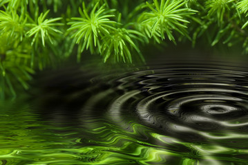 Naklejka na ściany i meble Reflection of forest in water