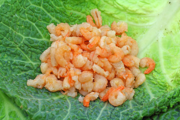 Tiny shrimp on green cabbage leaf