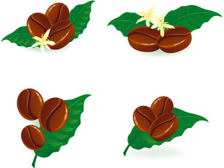 Grains of coffee with foliage and flowers.